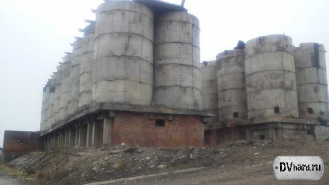 полигон орхидея полигон орхидея