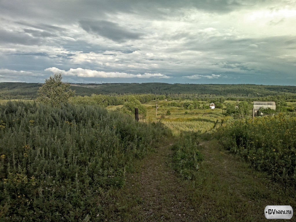 Природа в Благовещенске Природа в Благовещенске