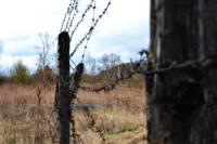 операция моховая падь