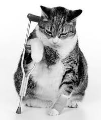 хардбол это не больно