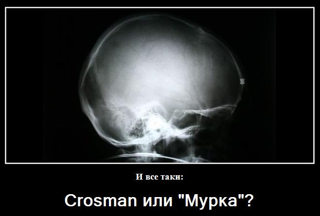 crosman или мурка crosman или мурка