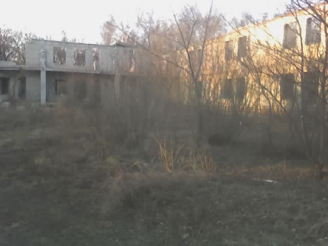 колыбель хардбола в благовещенске колыбель хардбола в благовещенске