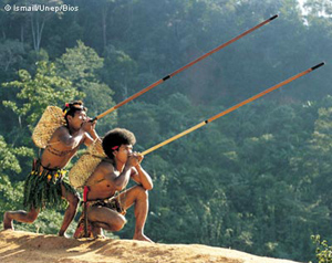 длинные духовые трубки