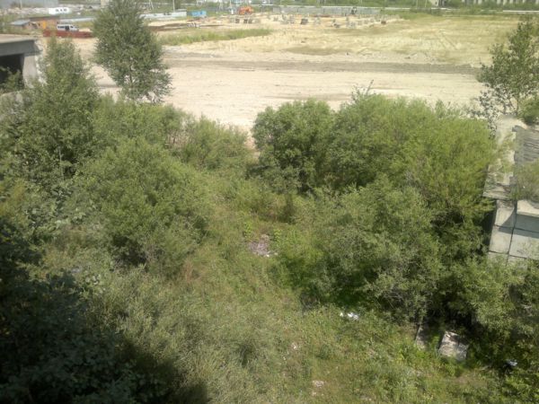 задняя площадка задняя площадка