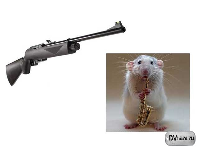 Крыса - Сленг Крыса - Сленг