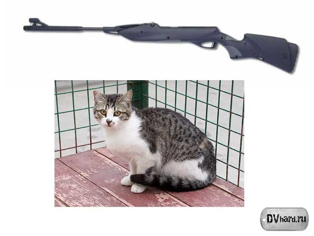 мурка мурка