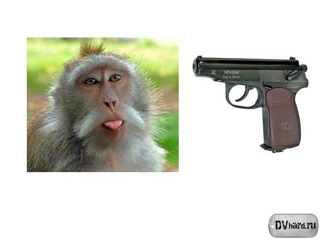 Макака - Сленг Макака - Сленг