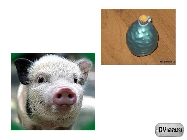 Хог - Сленг Хог - Сленг