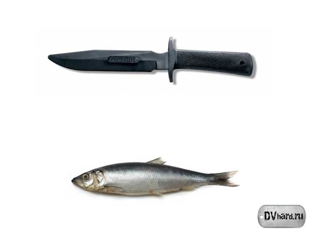 Селедка - Сленг Селедка - Сленг