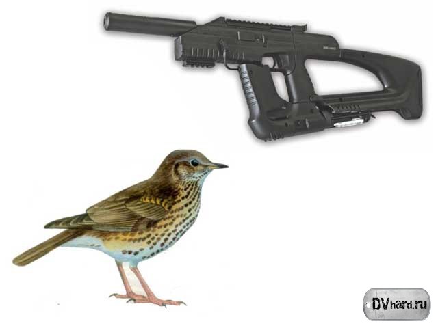 Дрозд - Сленг Дрозд - Сленг