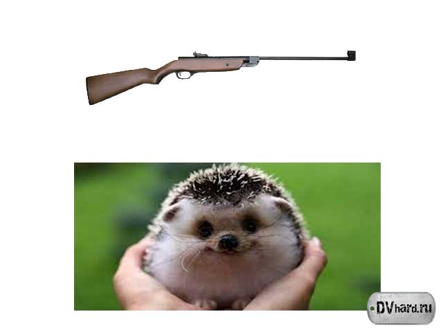 Ежик - Сленг Ежик - Сленг