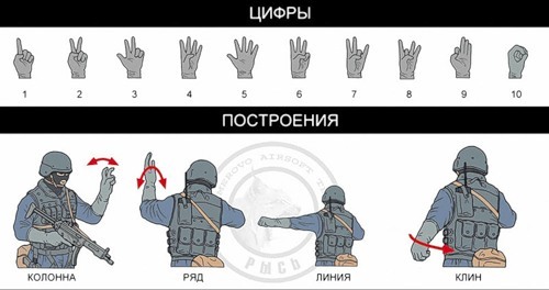 язык жестов спецназа цифры и построения язык жестов спецназа цифры и построения