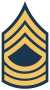 погон мастер-сержанта погон мастер-сержанта