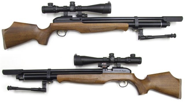 Dragon Career Slayer Dragon Career Slayer