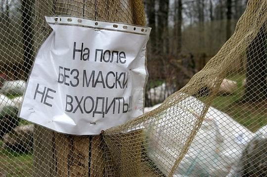 маски не снимать маски не снимать