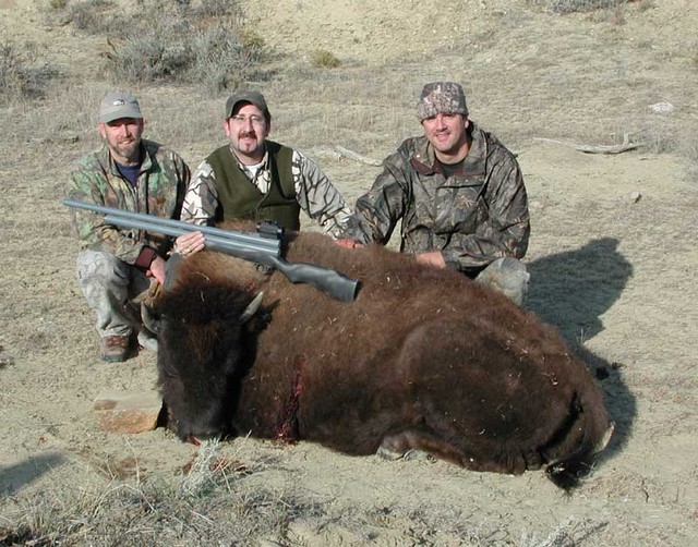 охота на бизона из пневматики охота на бизона из пневматики