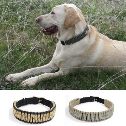 ошейник из паракорда ошейник из паракорда