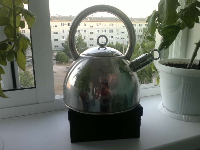 чайник судного дня в благовещенске чайник судного дня в благовещенске