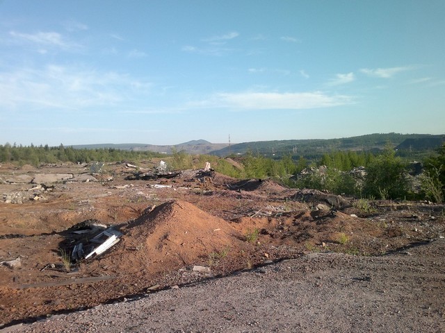 полигон орхидея полигон орхидея