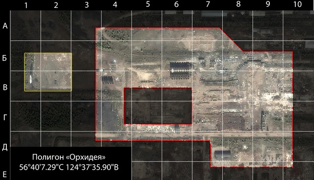 полигон орхидея полигон орхидея