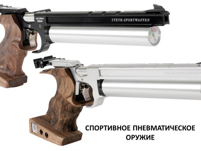 Спортивное пневматическое оружие Спортивное пневматическое оружие
