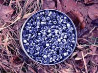 Пули для пневматического оружия