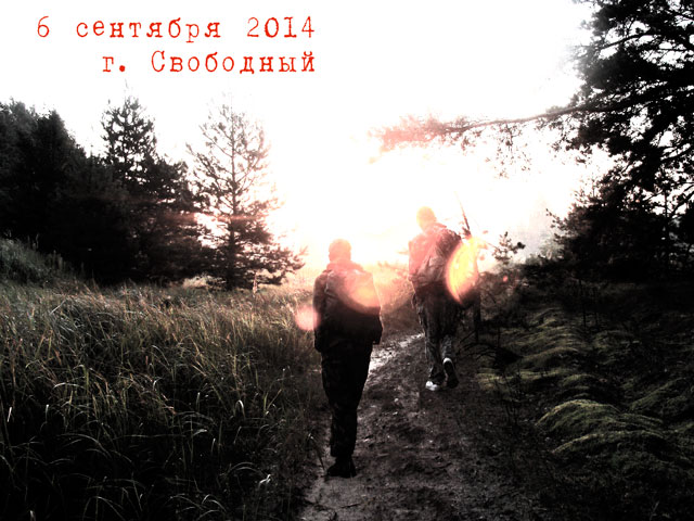 хардбол в свободном хардбол в свободном